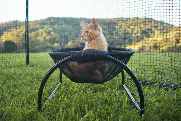 Steel Frame Breathable Cat Hammock With Stand-1