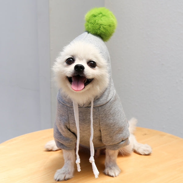 Cute Puppy Hoodies - Puppy Fleece Sweater-Gray and Green