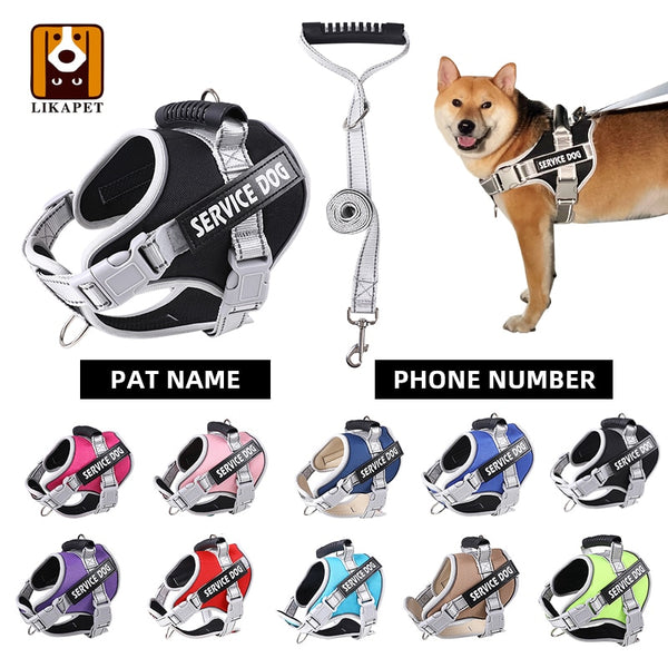 Personalized Nylon Waterproof Adjustable Dog Collar Harness